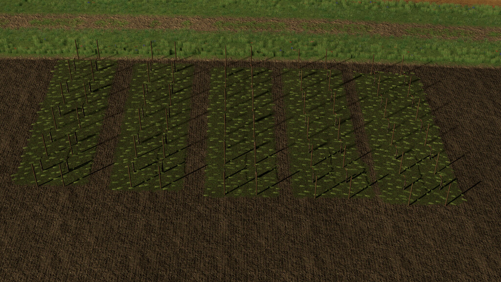 Variable Weinreben Breiten - Thumbnail 1