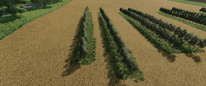 Tools Variable Olivenrebe Breiten Landwirtschafts Simulator mod