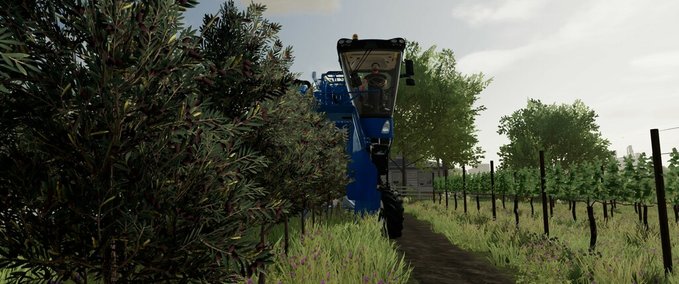 Tools Billigere Oliven Und Trauben Landwirtschafts Simulator mod