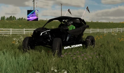 CAN AM Maverick peitscht um - Thumbnail 1