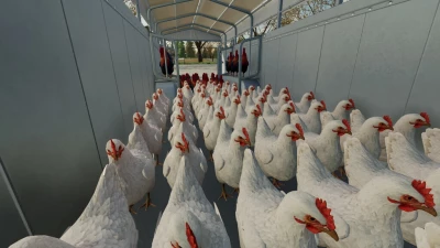 Tiertransport Anhänger Pack - Thumbnail 1