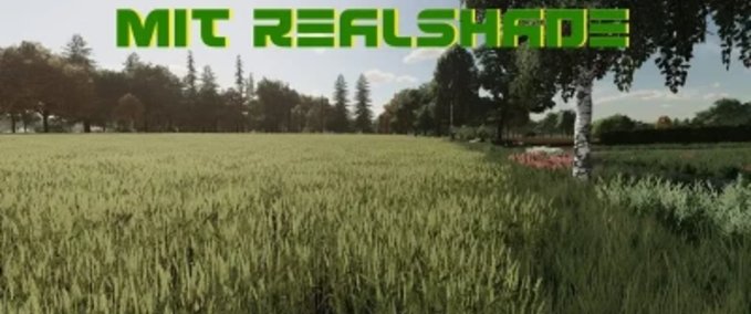 Texturen GSG Realshade Landwirtschafts Simulator mod