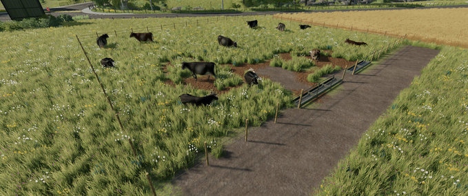 Tools RealismAddon: Grasende Tiere Landwirtschafts Simulator mod
