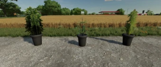 Platzierbare Objekte Cannabis-Pflanzen Pack Landwirtschafts Simulator mod