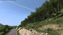 Improved Trees 4k v1.1