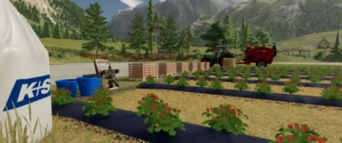 Platzierbare Objekte Freiland-Erdbeeren Landwirtschafts Simulator mod