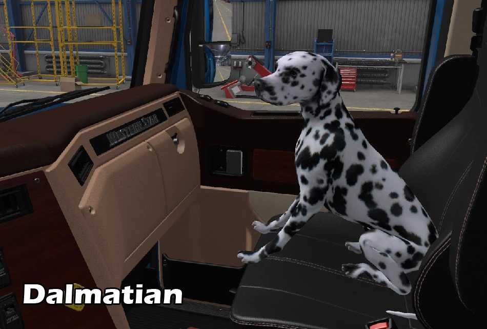 Seat Companions Pack - 1.46  thumbnail 4