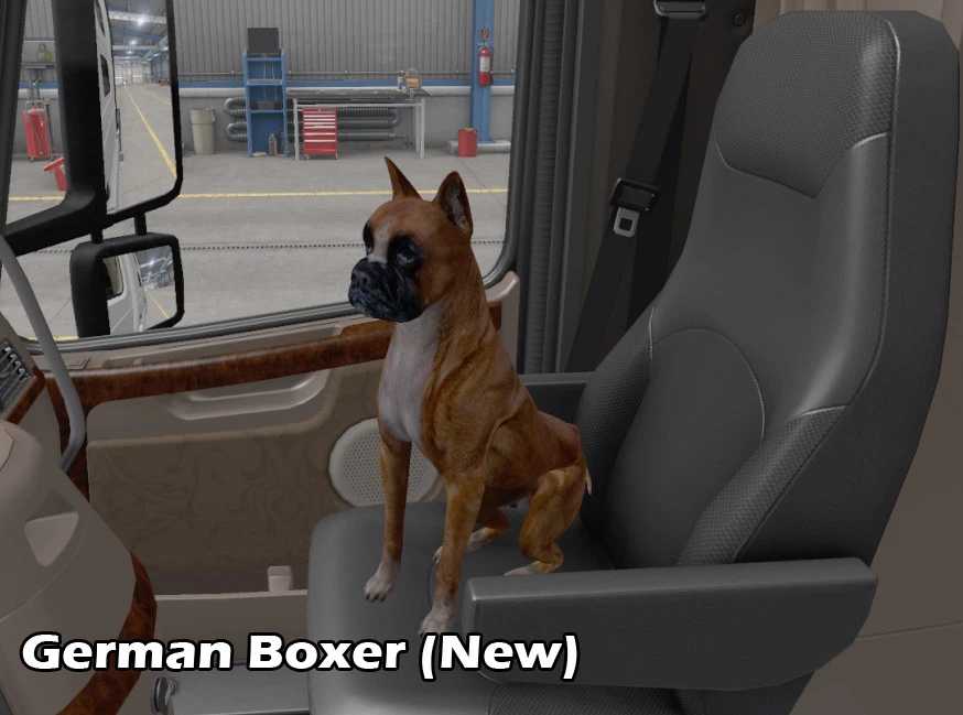 Seat Companions Pack - 1.46  thumbnail 2