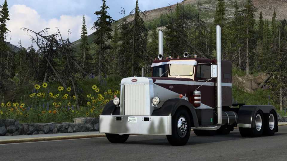 Peterbilt 350 - 1.46 thumbnail 5
