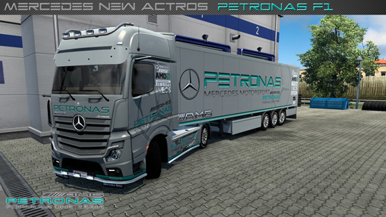 Mercedes Petronas Skin Combo