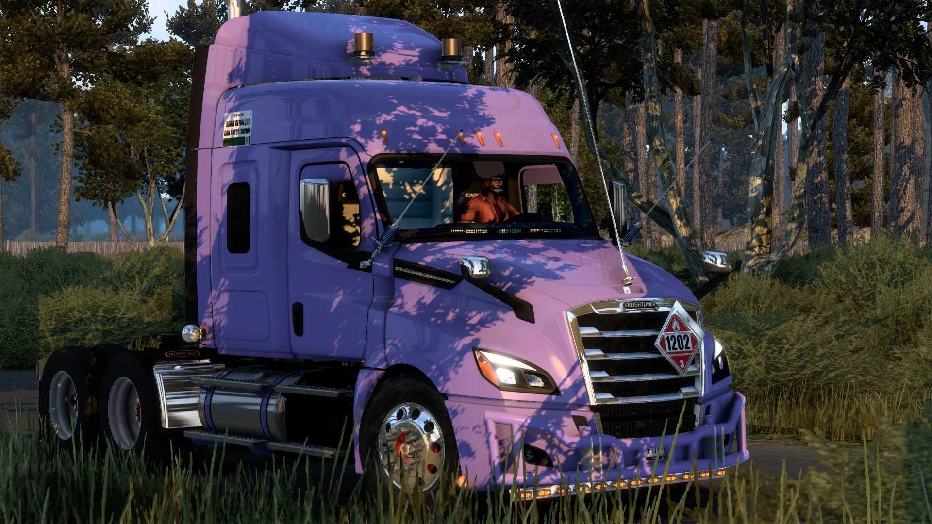 Freightliner Cascadia 2019 AGP - 1.46 thumbnail 3