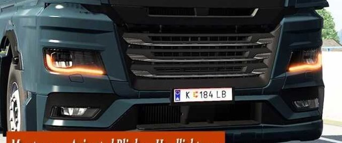 Trucks MAN TGX 2020 Animated Blinkers Headlights  Eurotruck Simulator mod