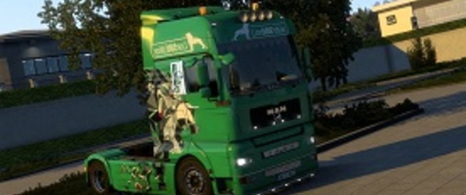 Trucks MAN TGA S500Lion Skin  Eurotruck Simulator mod