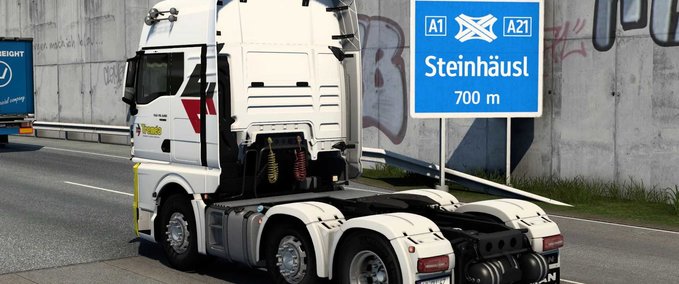 Trucks MAN TGX 2020 TREMEA SKIN  Eurotruck Simulator mod