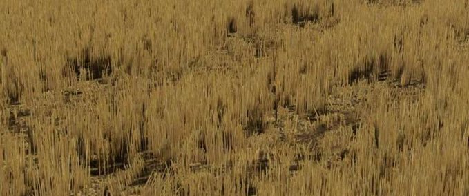 Texturen Hohe Weizenstoppeln mit Verdichtung Landwirtschafts Simulator mod