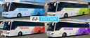 Temsa Safir Plus 2016-2023 Gülaras 50.YIl Kaplaması Skins