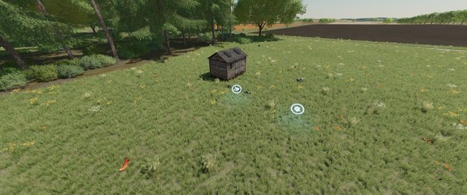 Tierställe Freilaufende Hühner auf der Weide Landwirtschafts Simulator mod