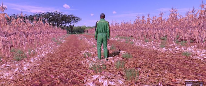 Texturen Neue Maistextur Landwirtschafts Simulator mod