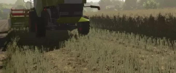 Texturen Texturen von Raps 2 Landwirtschafts Simulator mod