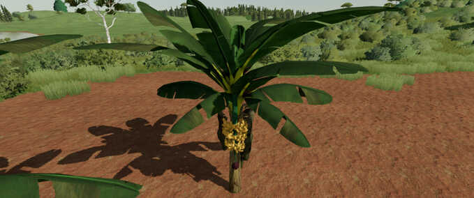 Bananenbaum Mod Image