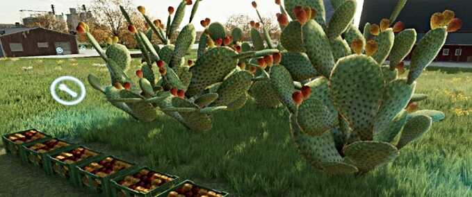 Gewächshäuser Kaktusfeige Landwirtschafts Simulator mod