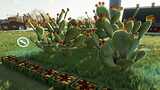 Kaktusfeige Mod Thumbnail