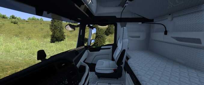 Trucks MAN 2020 White Diamond Pattern Interior Eurotruck Simulator mod