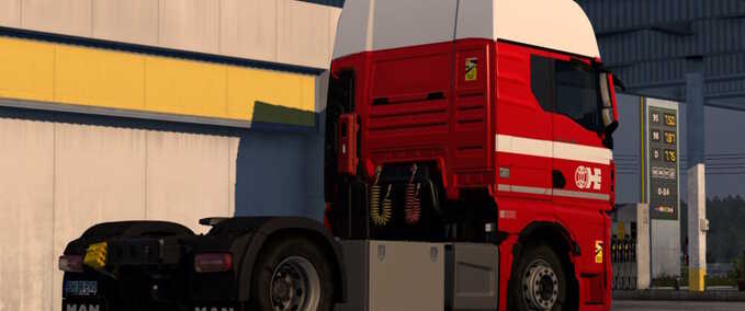 Trucks MAN (TGX) GX H.ESSERS Skin Eurotruck Simulator mod