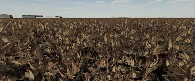 Texturen Blatterbsen Landwirtschafts Simulator mod