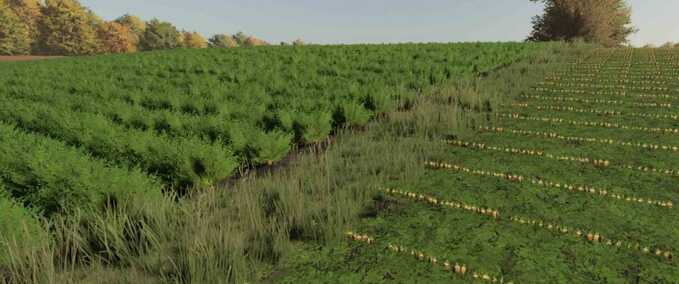Objekte Topping-Gemüse Landwirtschafts Simulator mod