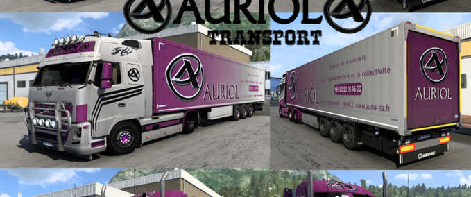 Trucks Auriol Transport Skin Pack Eurotruck Simulator mod