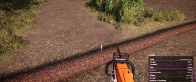 Gameplay Forstwirtschaftshelfer Landwirtschafts Simulator mod