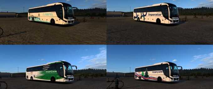 Trucks 2023 MAN Lion’s Coach Skinpack 2 Eurotruck Simulator mod