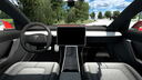 Tesla Model 3 Performance (2021) 