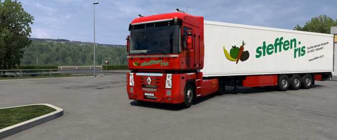 Trucks Steffen Ris Combo Skin  Eurotruck Simulator mod