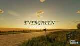 Evergreen-Farmen Mod Thumbnail