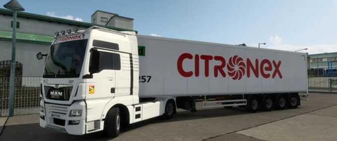 Trucks Man TGX E6 Combo Skin Eurotruck Simulator mod