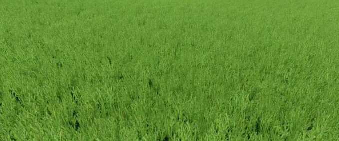 Grasstruktur mit Alfalfa Mod Image