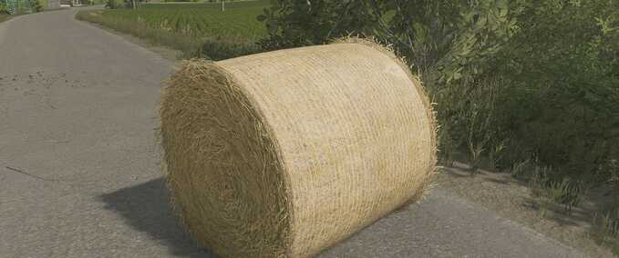 Textures Bale texture 125cm Farming Simulator mod