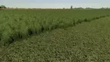 Grass Texture Mod Thumbnail