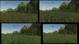 Grass Texture Mod Thumbnail