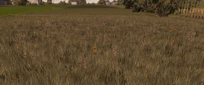 Textures Meadow Texture Farming Simulator mod