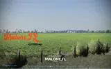 FS22 Malone Florida Mod Thumbnail