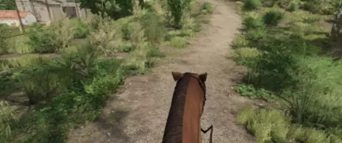 Scripts First Person Horse Riding Camera Farming Simulator mod