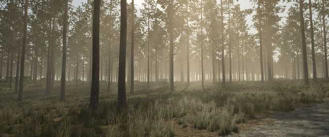 Maps Pinewood Forest Landwirtschafts Simulator mod