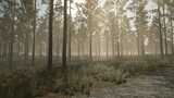 Pinewood Forest Mod Thumbnail