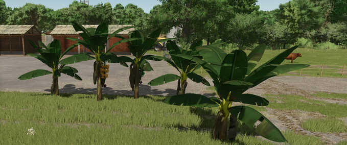 Decoration Banana Tree Farming Simulator mod