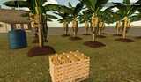 Banana Plantation Mod Thumbnail