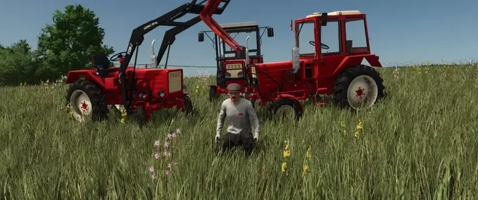 Other manufactors Wladimirec T25 Farming Simulator mod