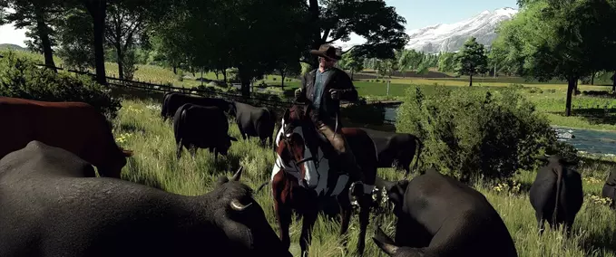 Maps The Ranch, Colorado Farming Simulator mod